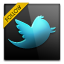 twitter icon